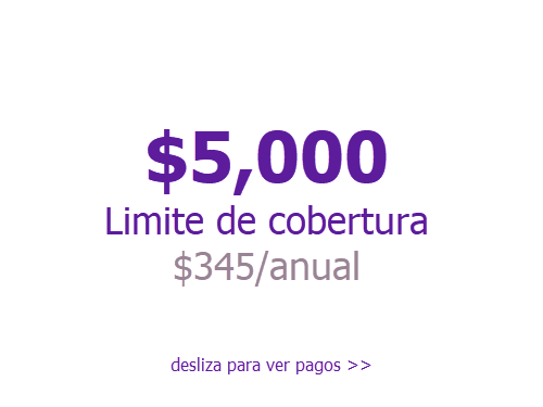 5000 slides cover